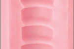 Fleshlight Wonder Wave Inner Texture